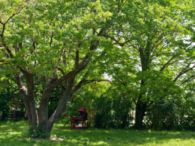 Aux ramieres grand gîte : jardin - barbecue